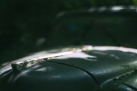 Autoskulptuenpark 037
