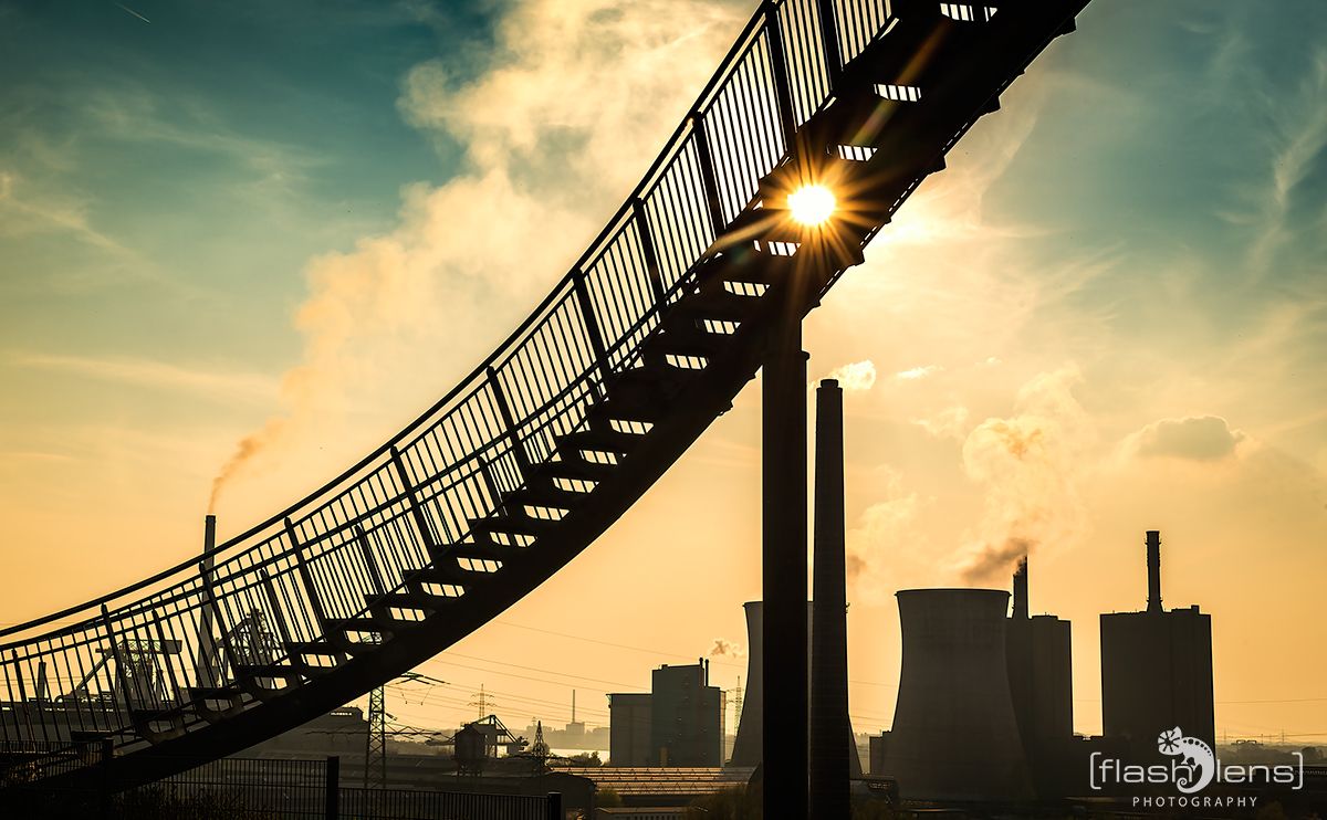 Tiger and Turtle 002