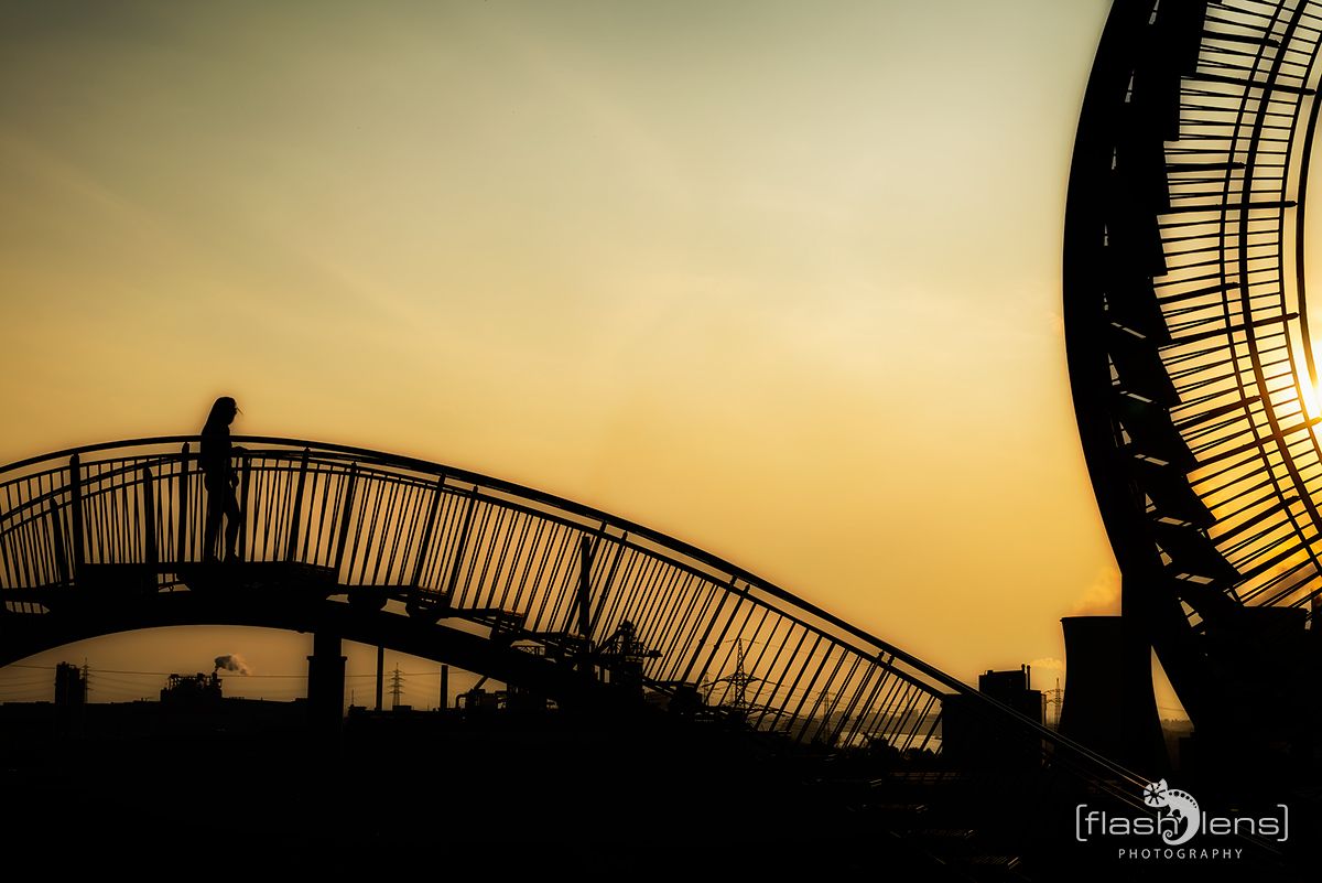 Tiger and Turtle 004