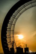 Tiger and Turtle 005