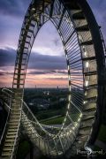 Tiger and Turtle 007