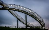 Tiger and Turtle 008