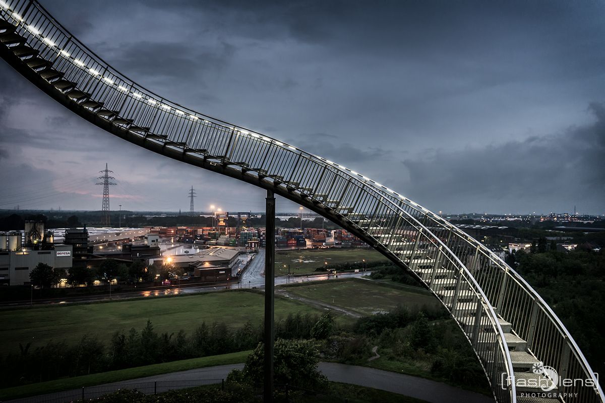 Tiger and Turtle 009