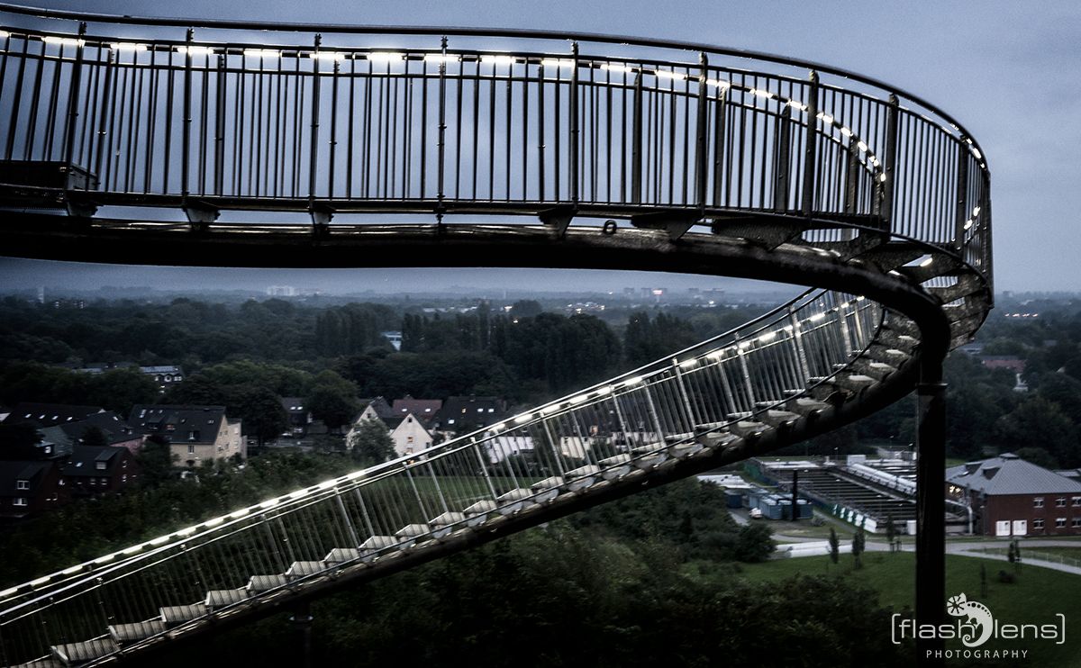 Tiger and Turtle 010