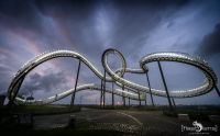 Tiger and Turtle 011