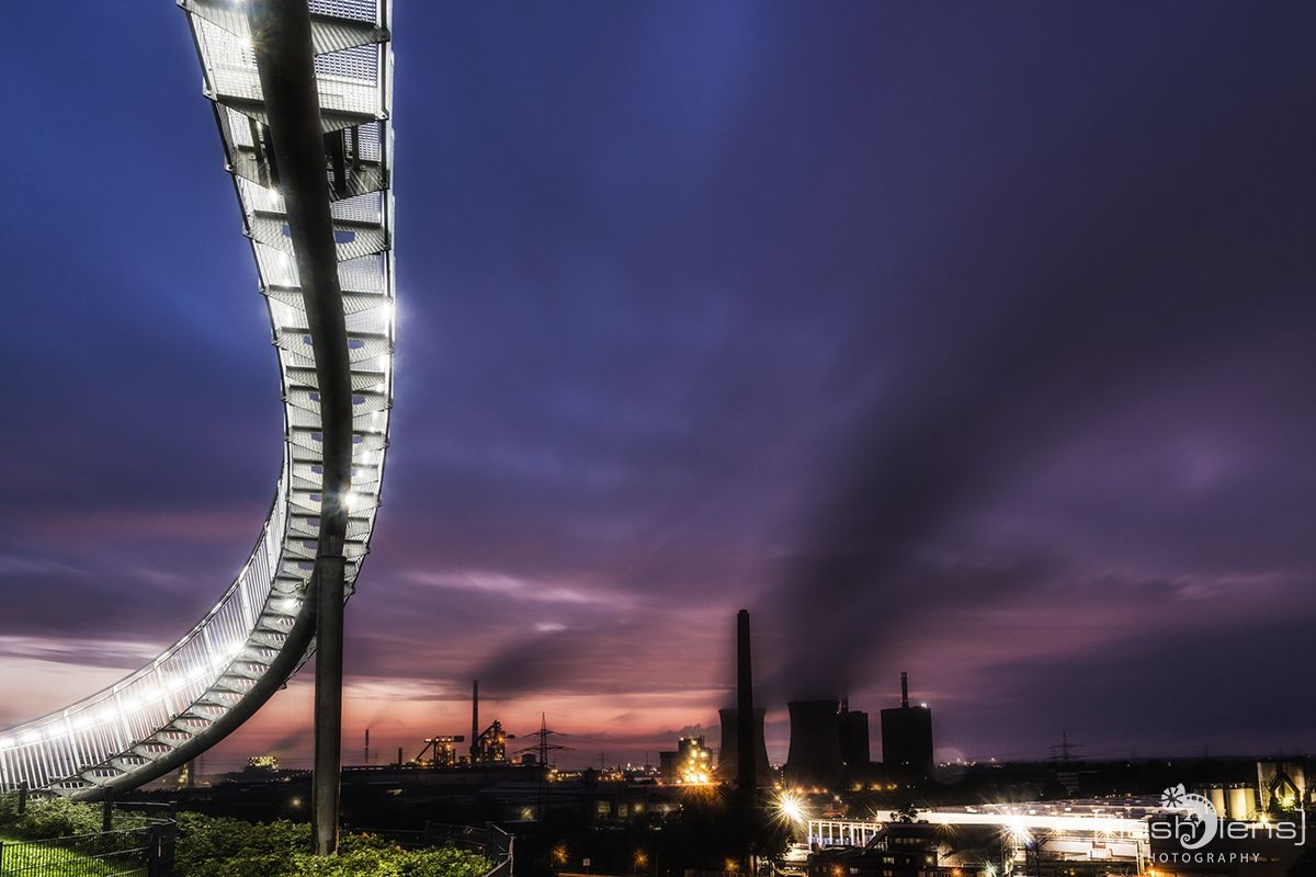 Tiger and Turtle 013