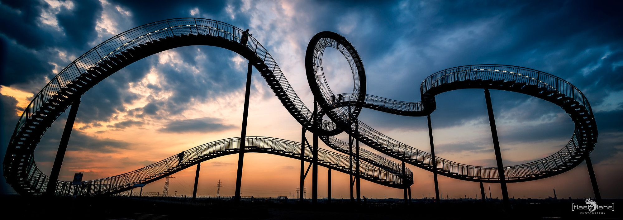 Tiger and Turtle 015