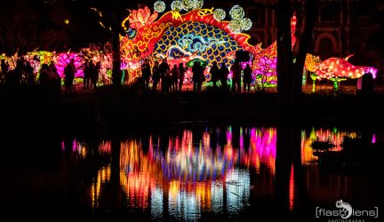 Chinese Light Festival