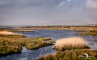 Fotoreise Irland 014