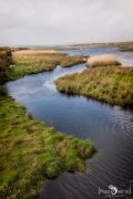 Fotoreise Irland 018