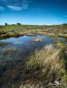 Fotoreise Irland 019
