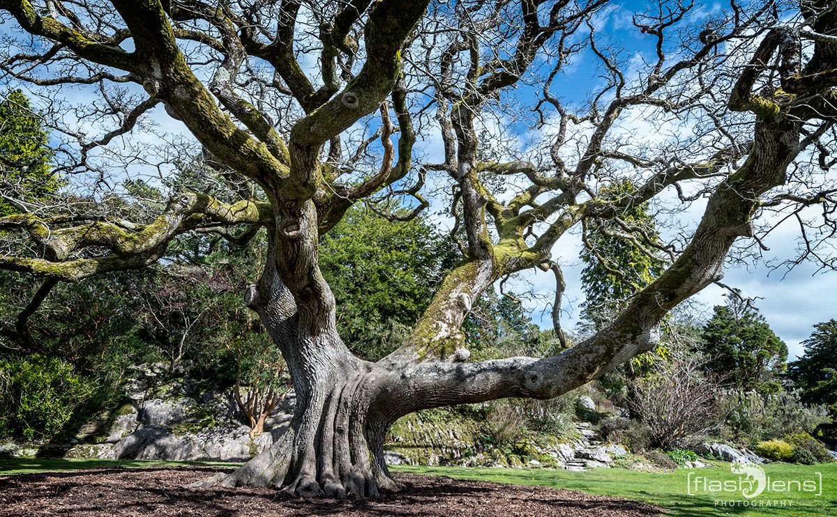 Fotoreise Irland 042