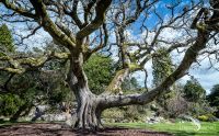 Fotoreise Irland 042