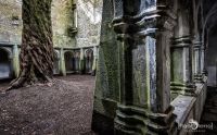 Fotoreise Irland 051