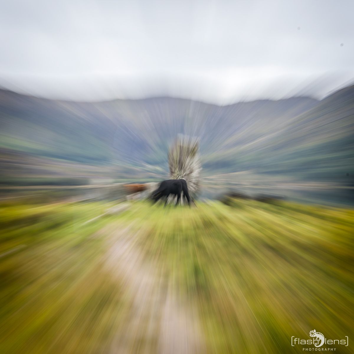 Fotoreise Irland 067