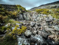 Fotoreise Irland 126