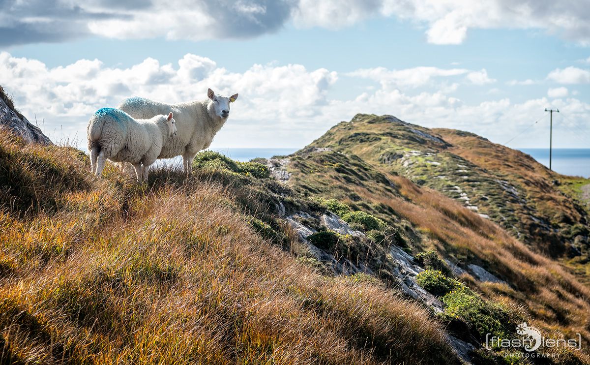 Fotoreise Irland 171