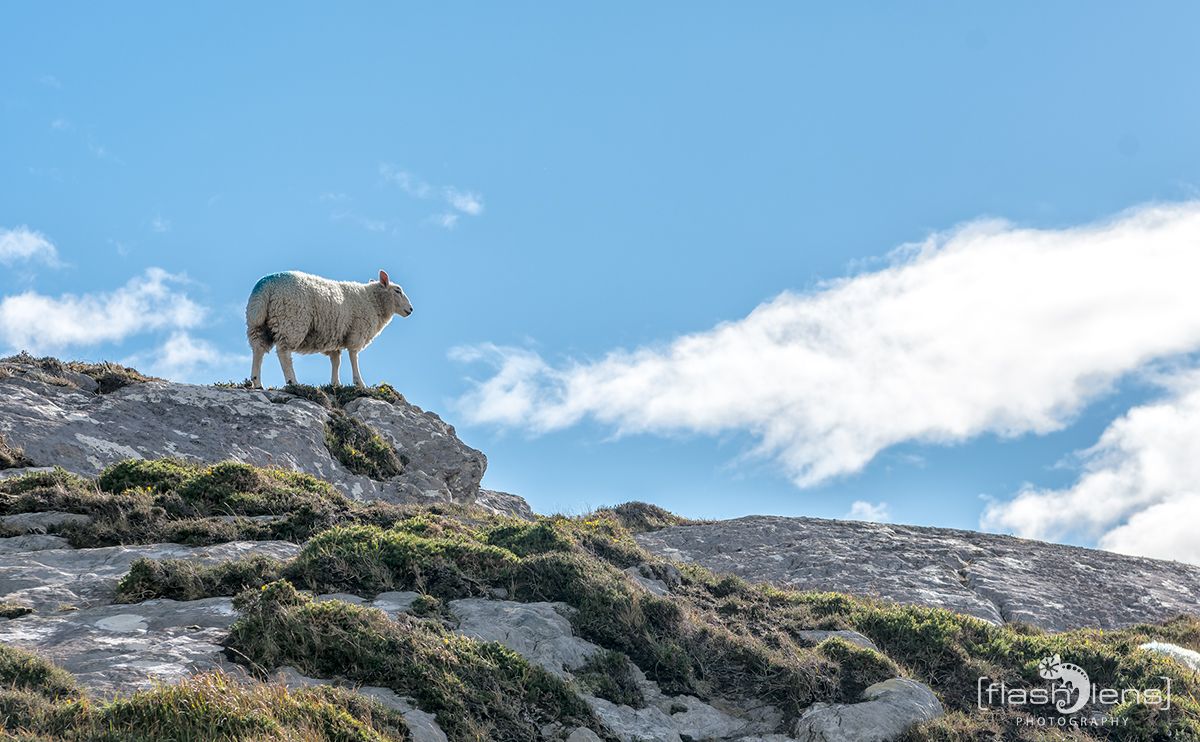 Fotoreise Irland 172