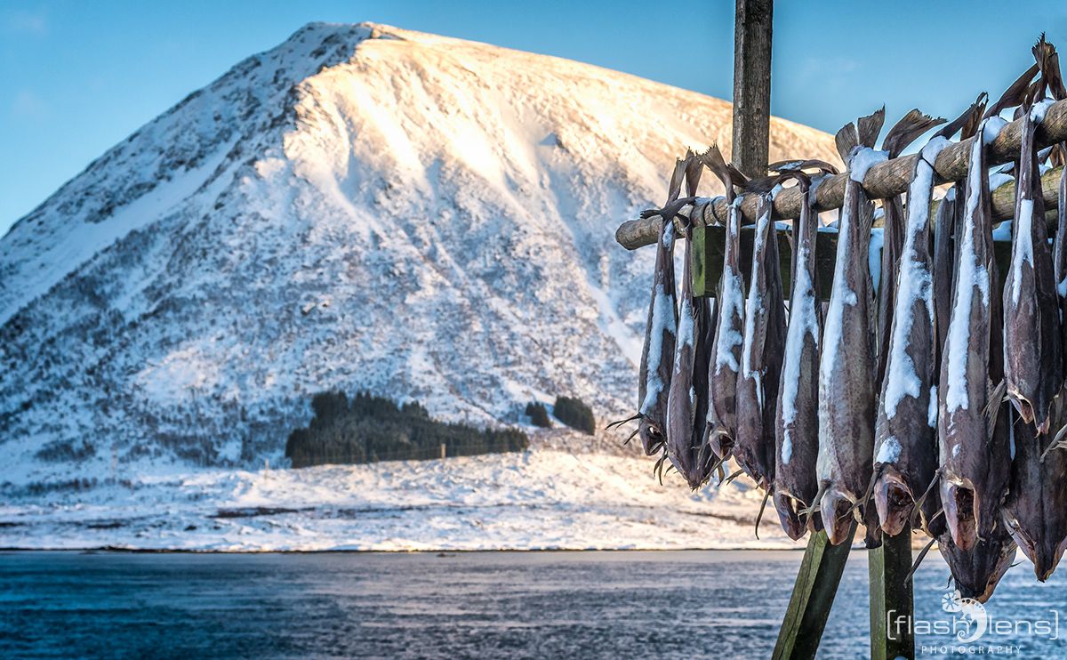 Fotoreise Lofoten 063