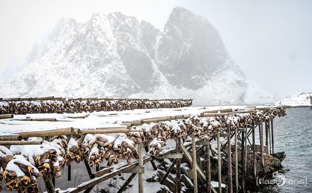 Fotoreise Lofoten 098