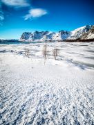 Fotoreise Lofoten 121