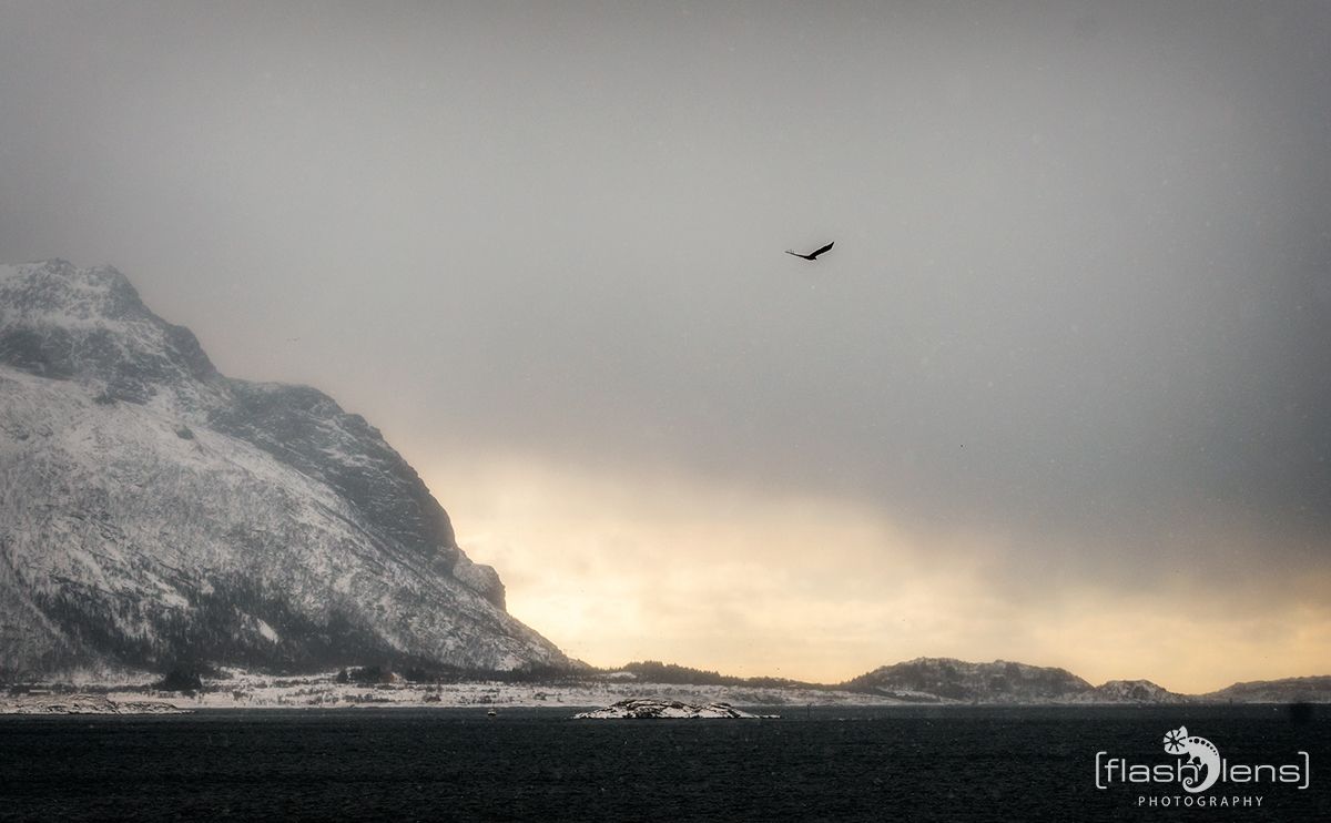 Fotoreise Lofoten 139