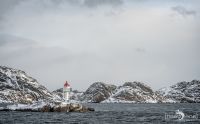 Fotoreise Lofoten 146