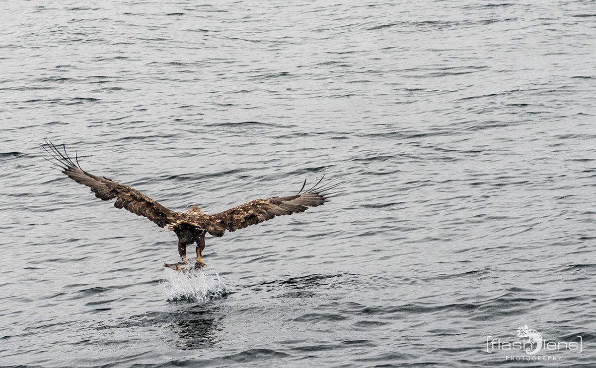 Fotoreise Lofoten 155