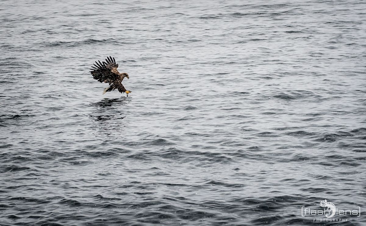 Fotoreise Lofoten 158