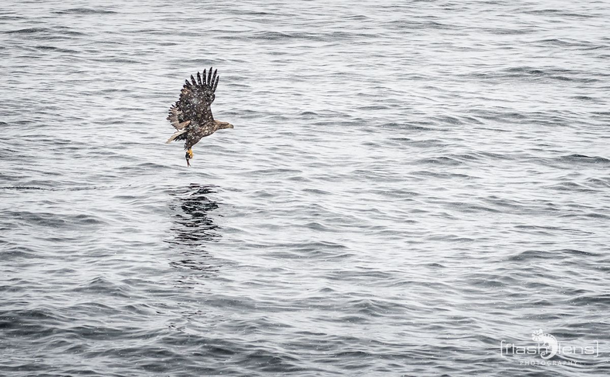 Fotoreise Lofoten 159