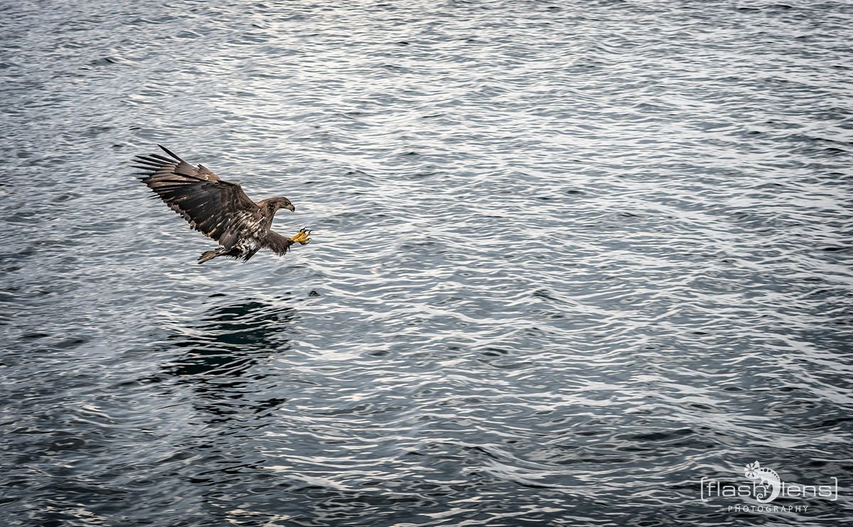 Fotoreise Lofoten 160