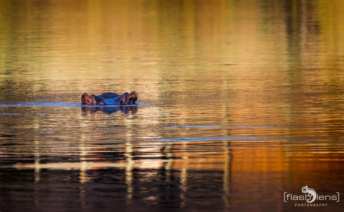 Botswana 2019 023