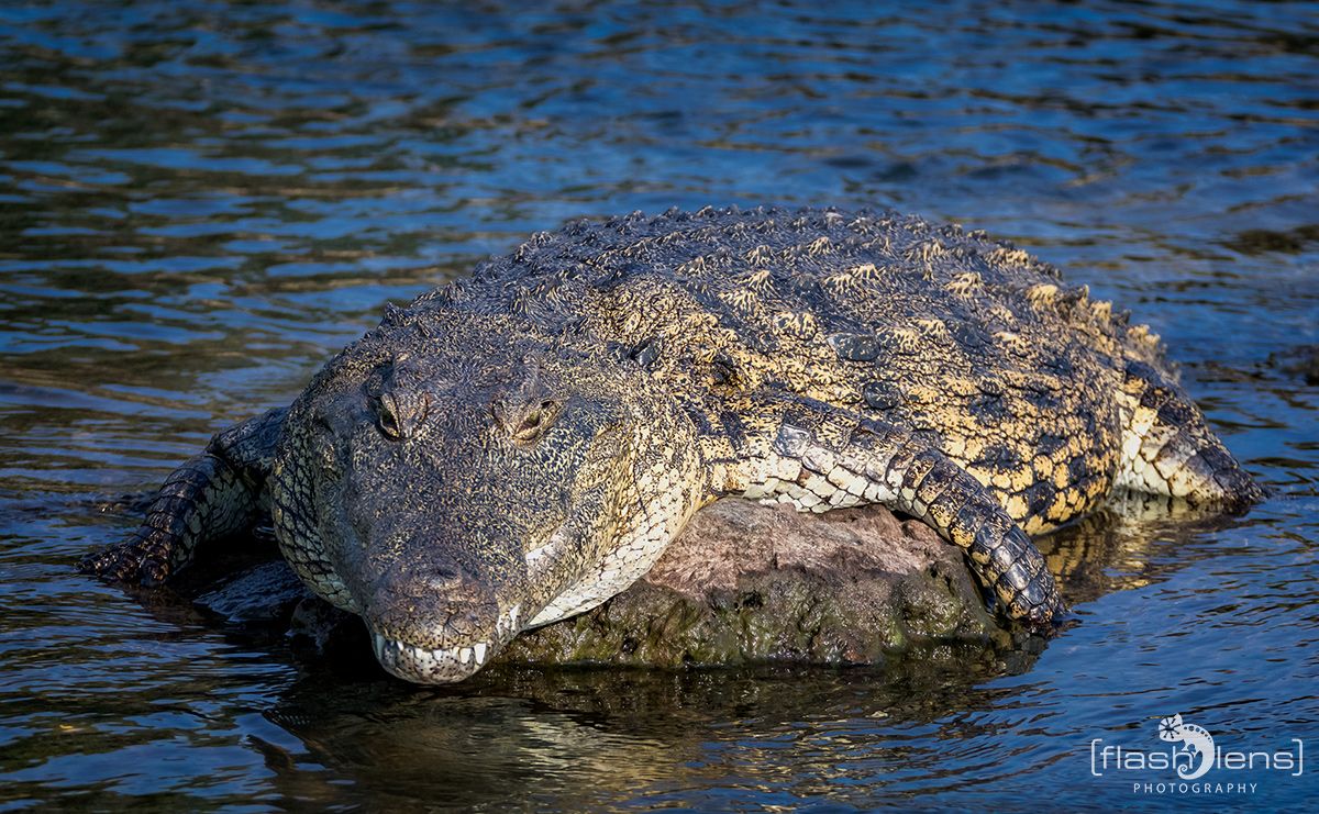 Botswana 2019 026