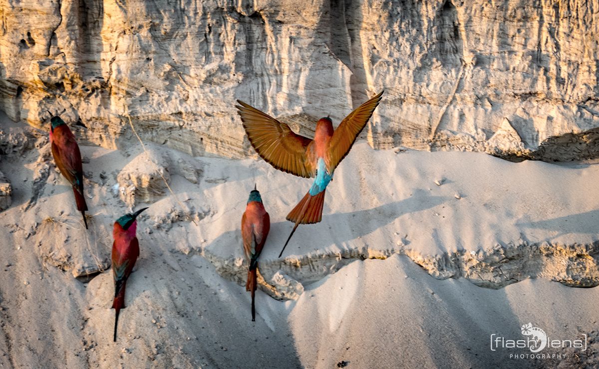 Botswana 2019 029