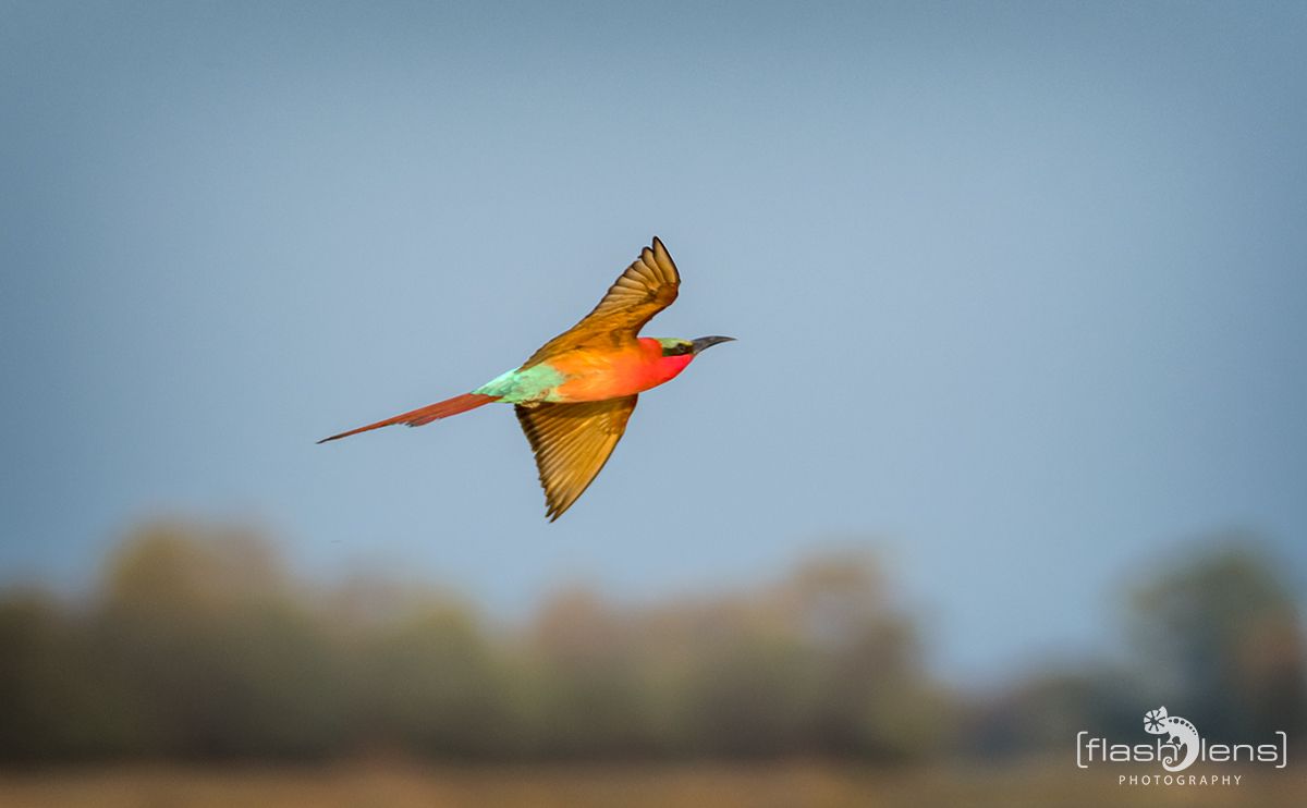 Botswana 2019 030