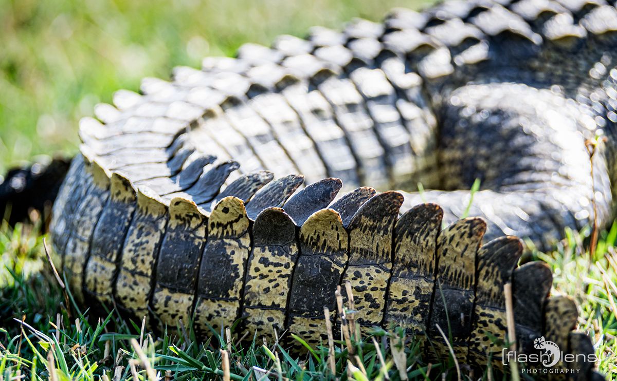 Botswana 2019 044