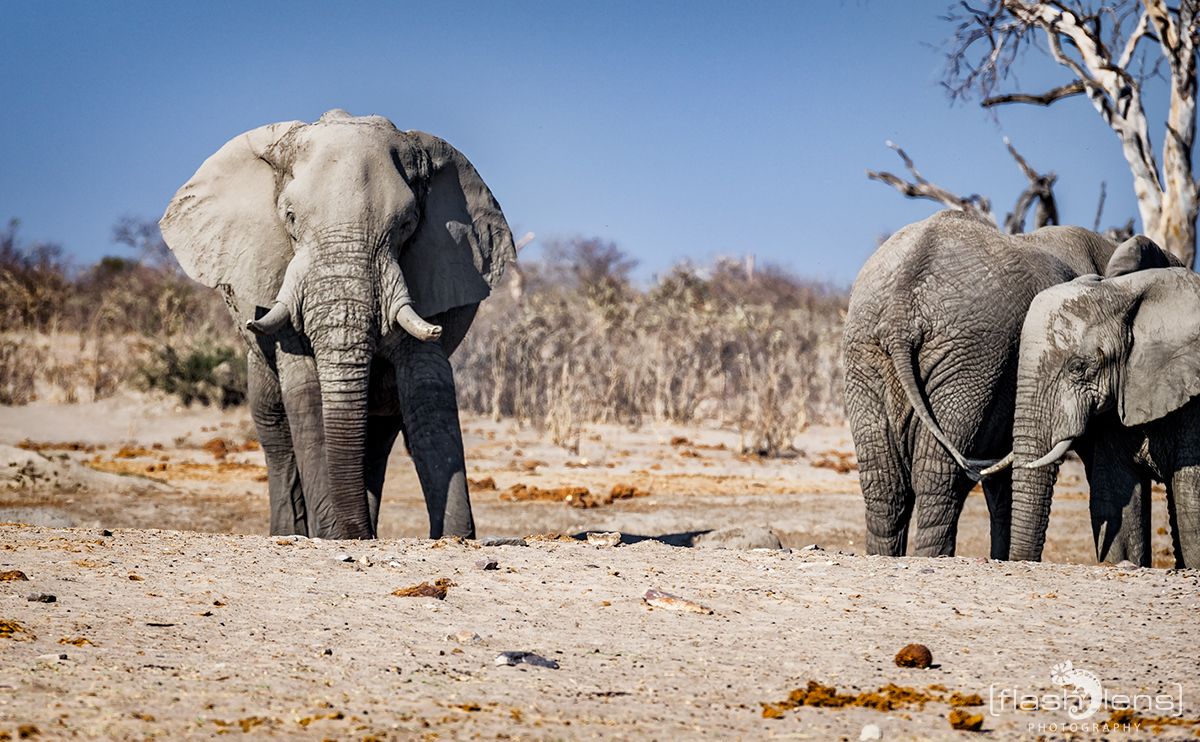 Botswana 2019 055