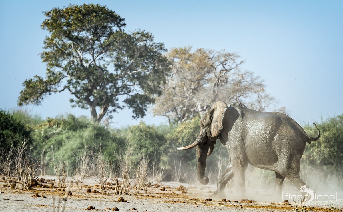 Botswana 2019 057