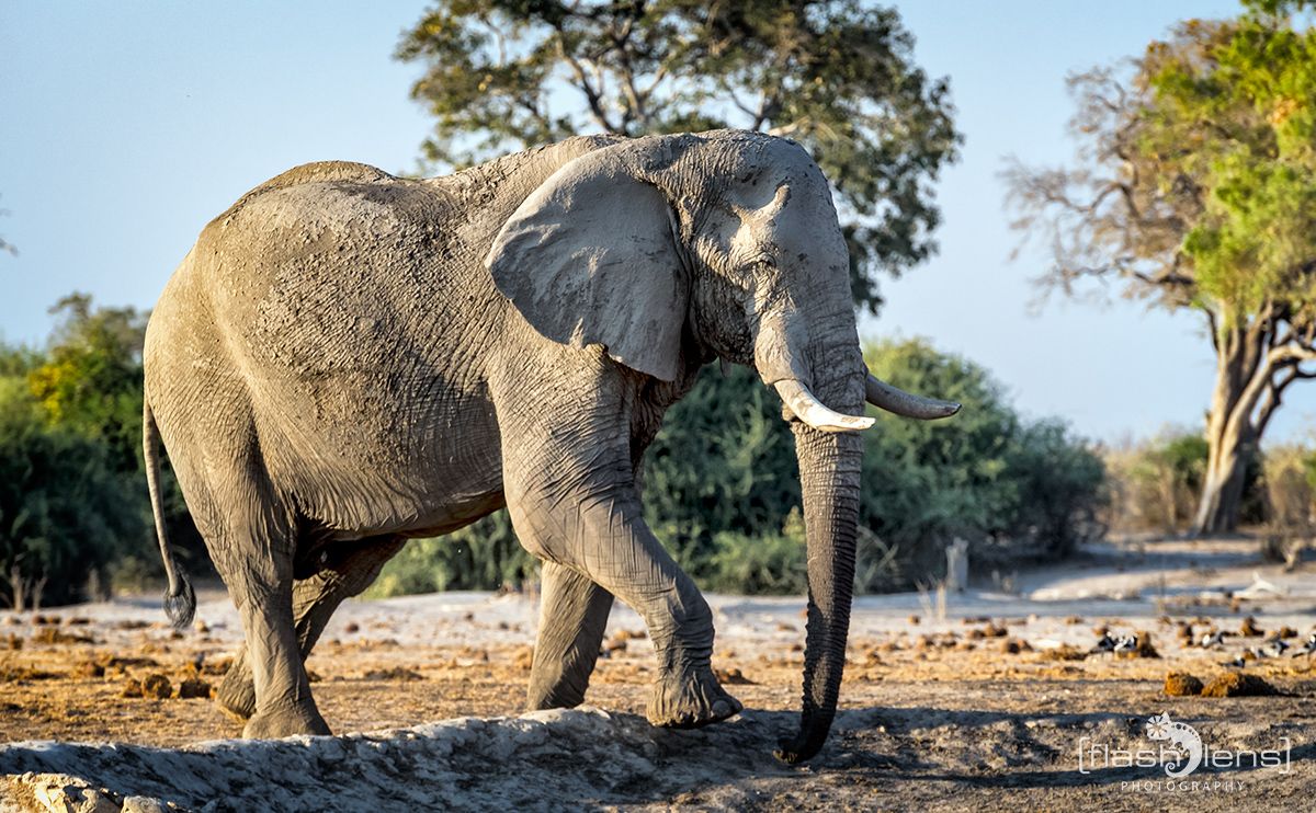 Botswana 2019 061