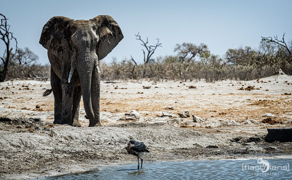 Botswana 2019 063