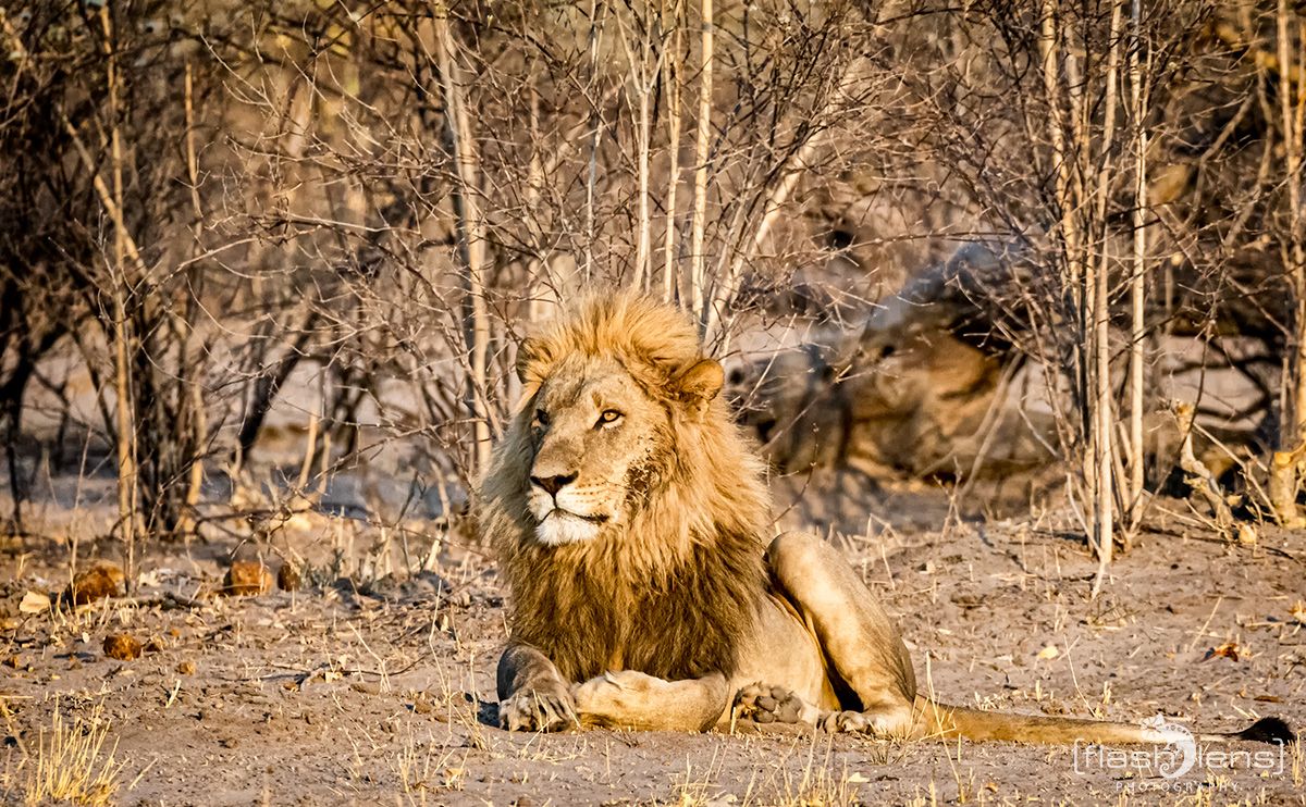 Botswana 2019 072