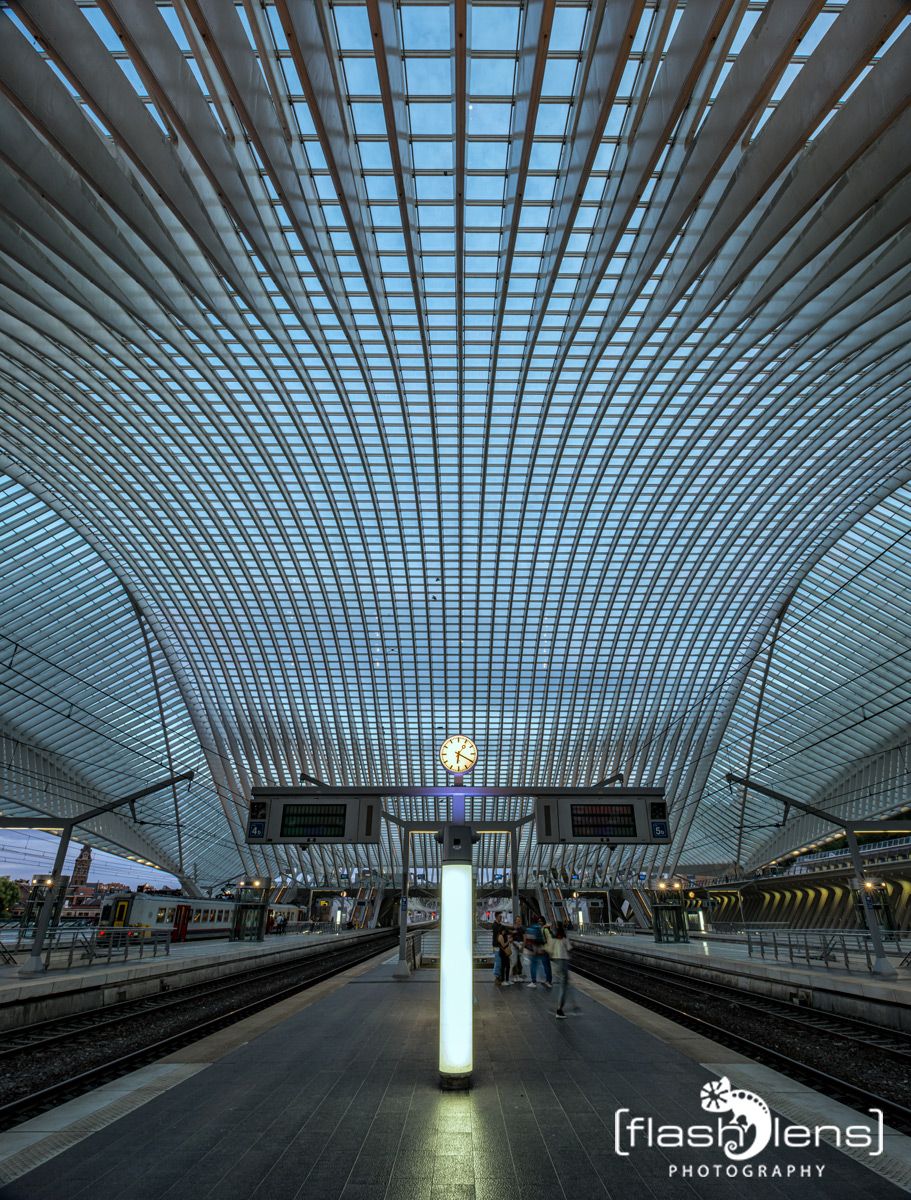 Gare Guillemins 013