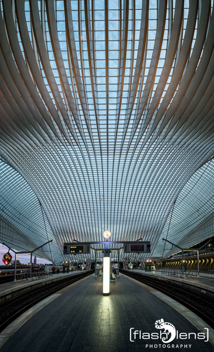 Gare Guillemins 014