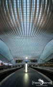 Gare Guillemins 014