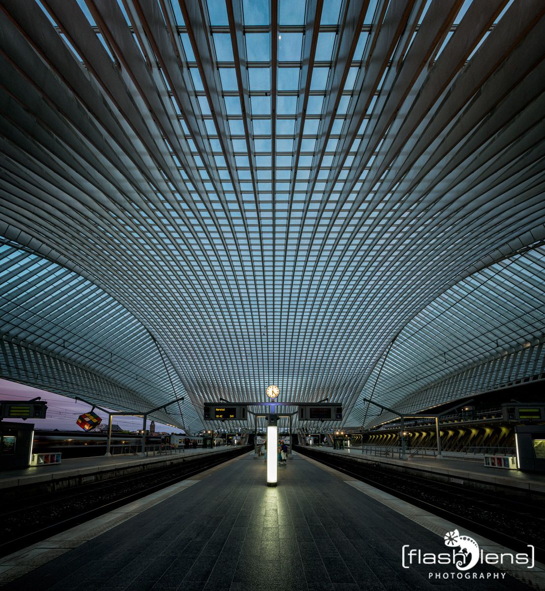 Gare Guillemins 015