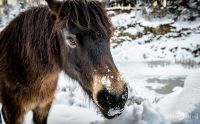 Ponyquarry 006
