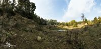 Ponyquarry 049