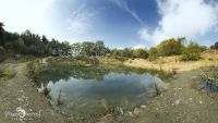 Ponyquarry 050