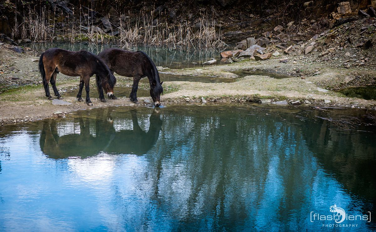 Ponyquarry 052