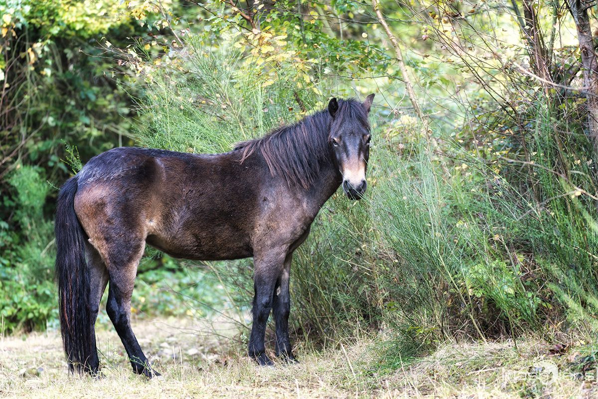 Ponyquarry 063
